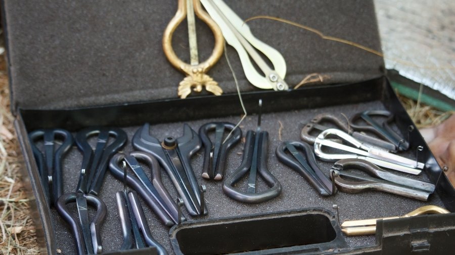 Varieties of Jaw Harps on a box