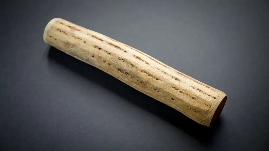 How to play the cactus rainstick