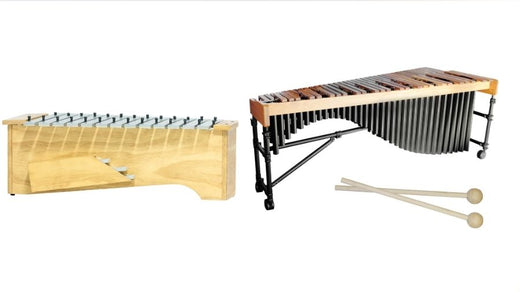 Metallophone vs Xylophone (Complete Guide)