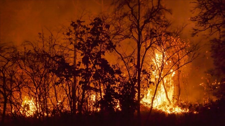 30 Deadliest Natural Disasters in History