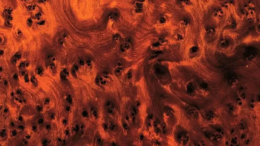 tweeya thuya wood burl grain