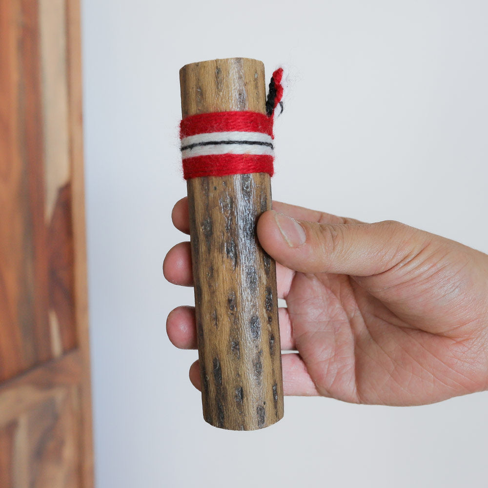 image of 15cm cactus rainstick in hand