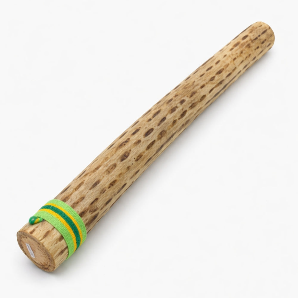 50cm sustainable Chilean cactus rainstick with a green woven band on white studio background