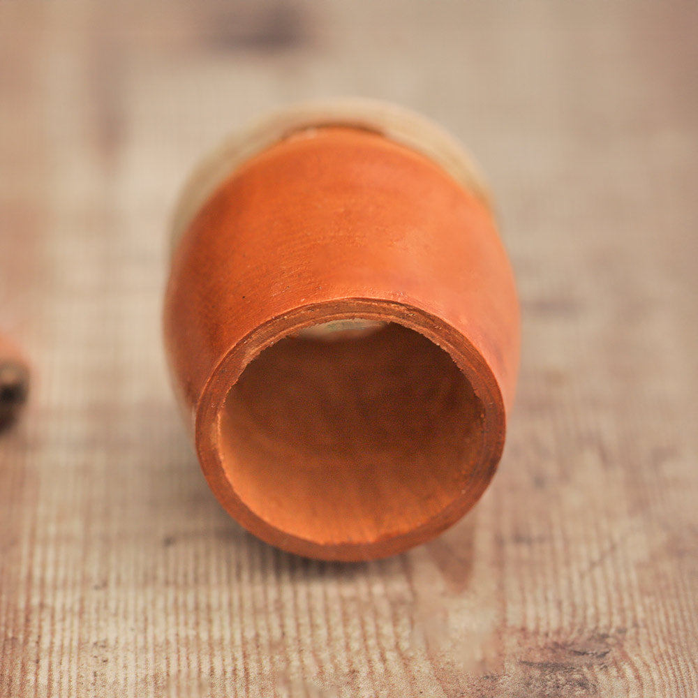 A close up of the Cicadas Imitator