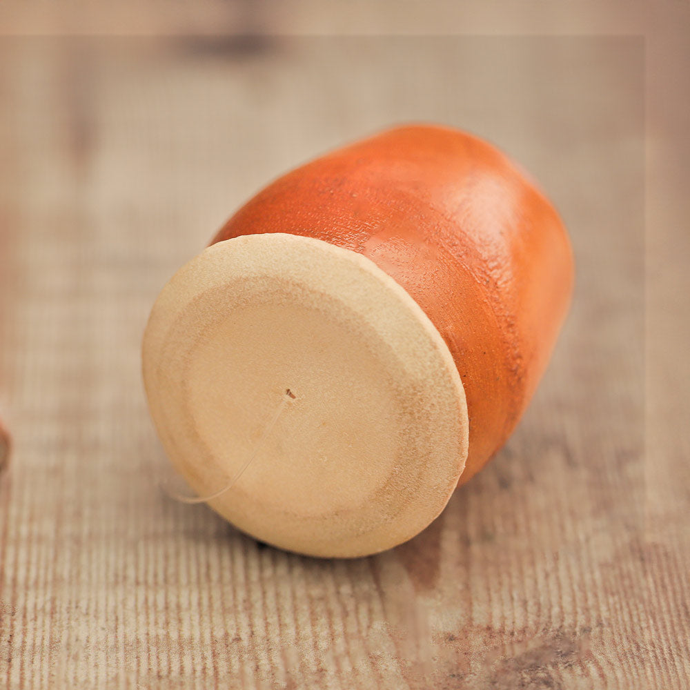 A close up of the Cicadas Imitator