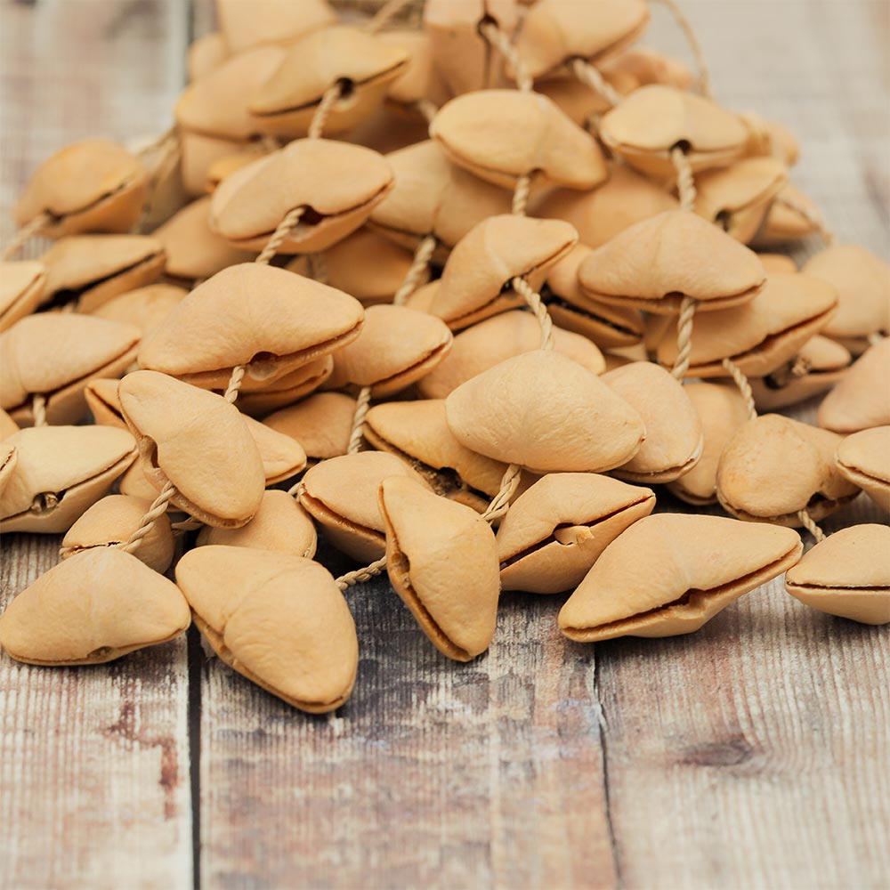 Close-up of a Lima nut cluster, highlighting the Kenari nut seeds in intricate detail.