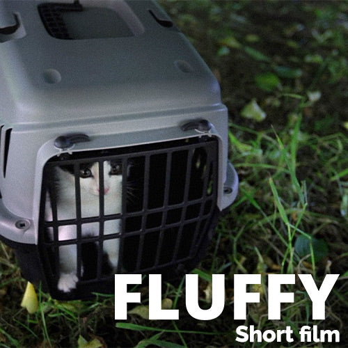 Fluffy short family film cover art with caged kitten