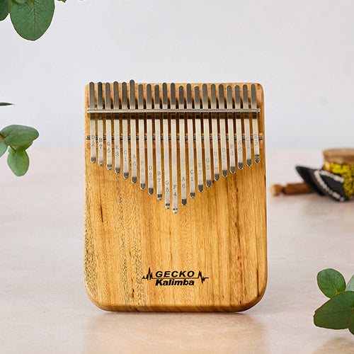 The front of the 21 note Gecko Kalimba
