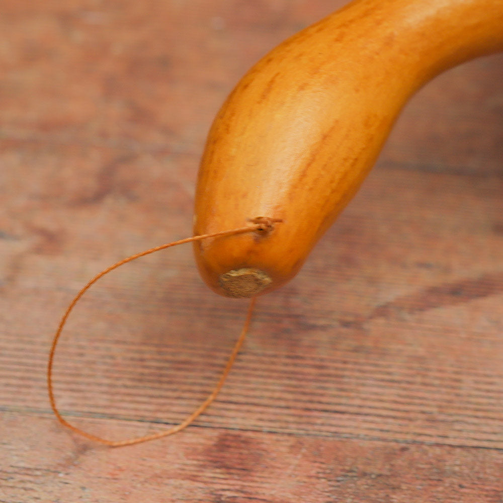 Close-up of the gourd handle on the Kenyan Cowrie Calabash Shaker showing the loop for hanging.