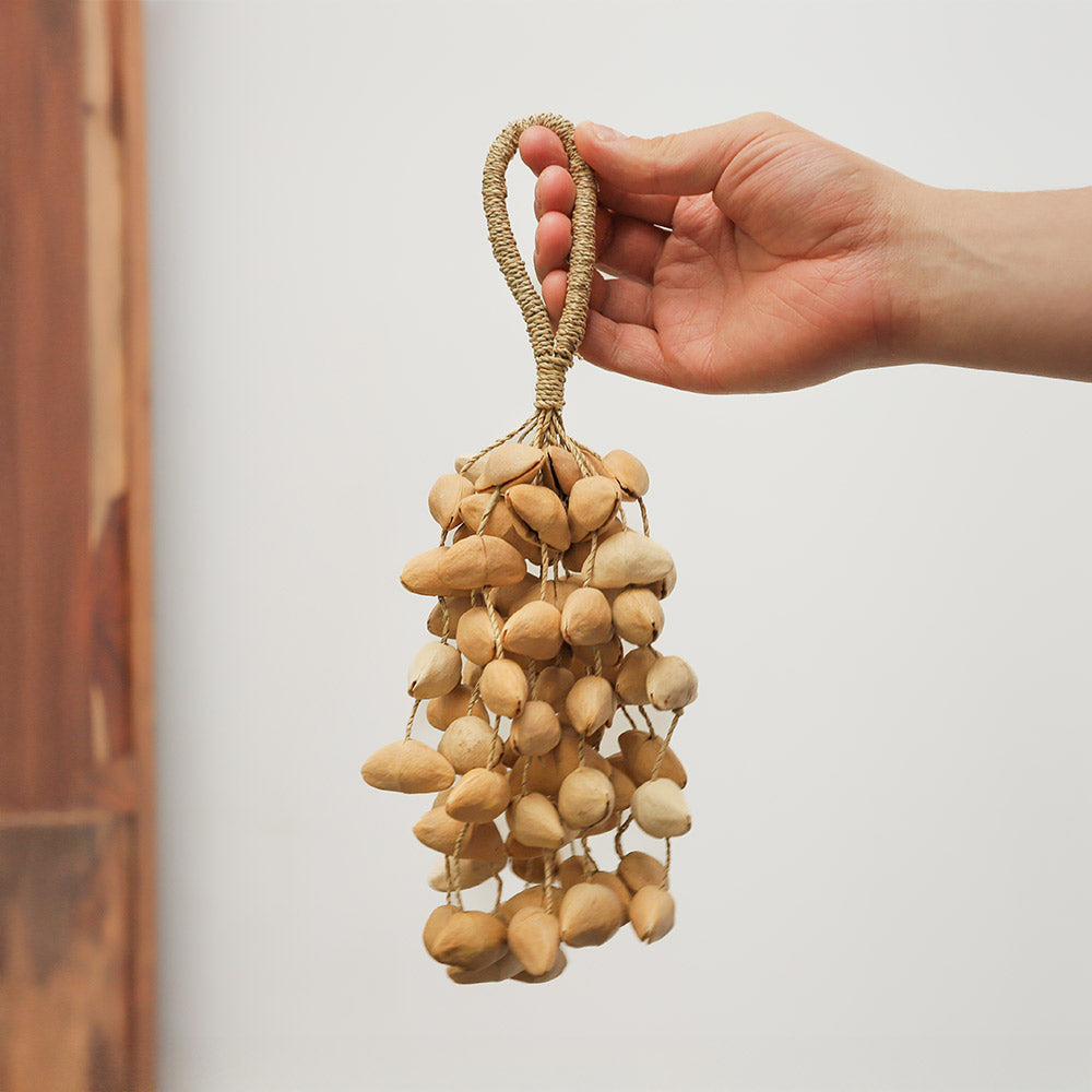 Lima Nut Cluster Shaker, a handheld natural seed percussion instrument for sound therapy.