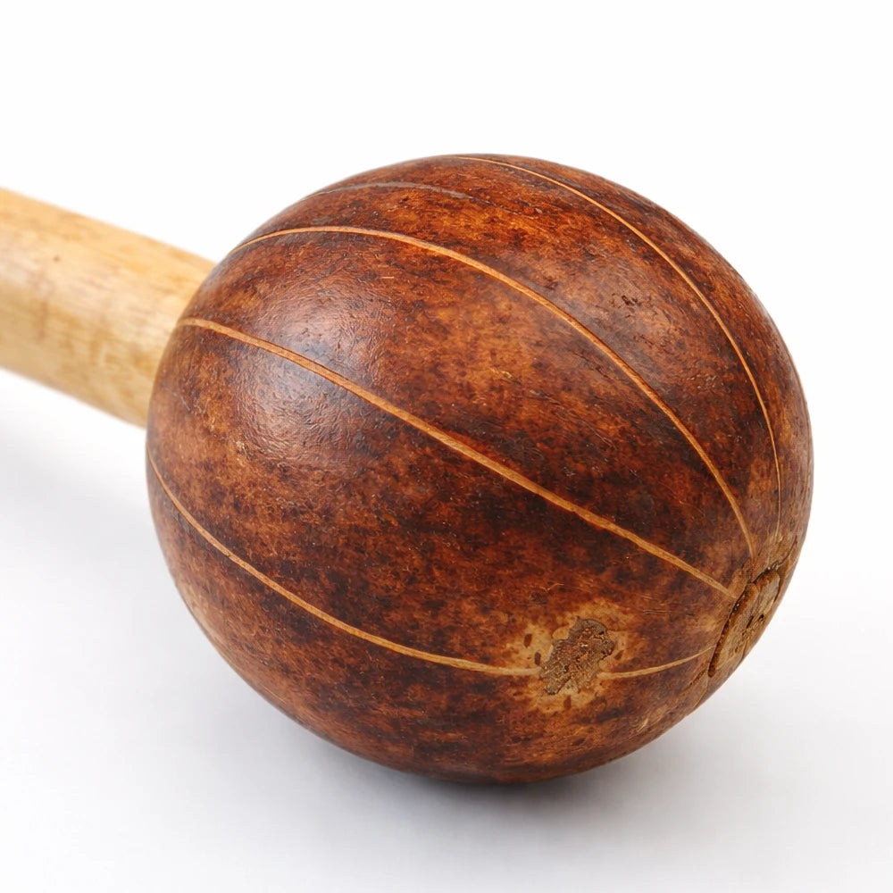 Close up of Gourd Televi shaker on white background