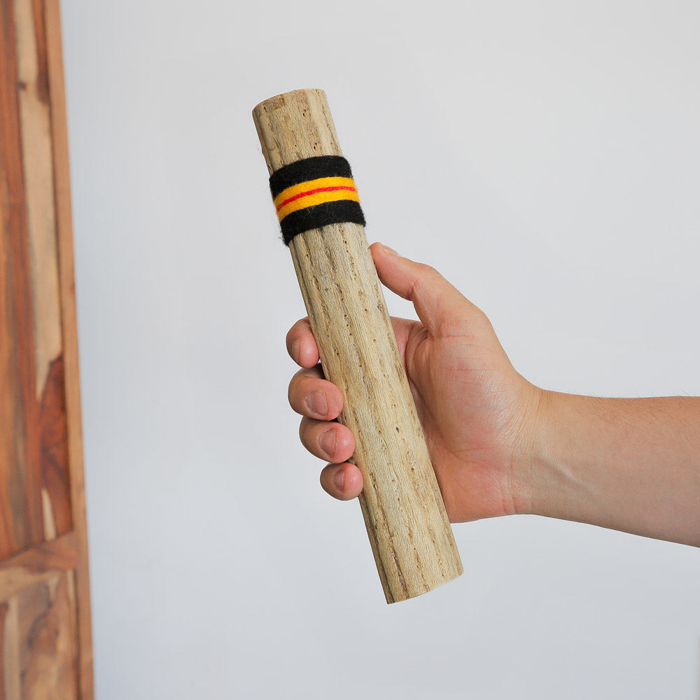 25cm cactus rainstick in hand