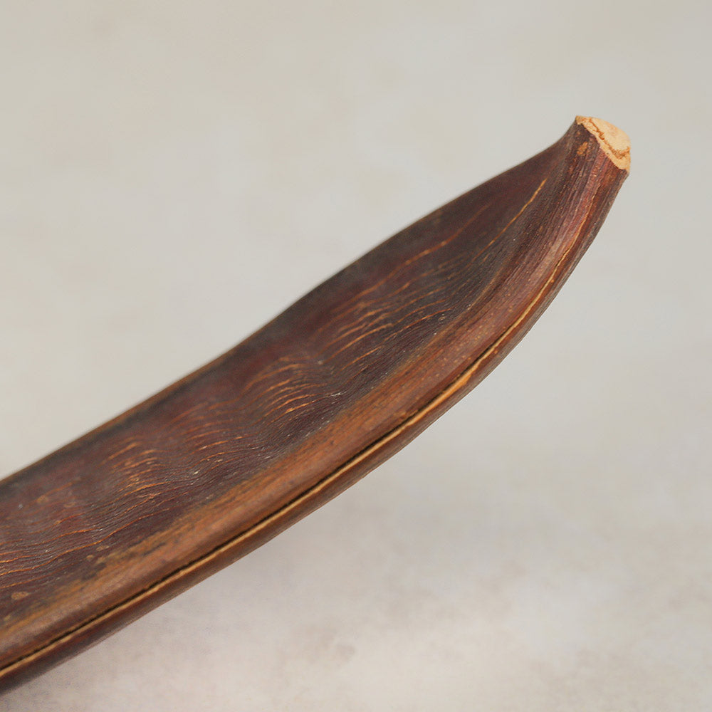 end of pacay seed pod