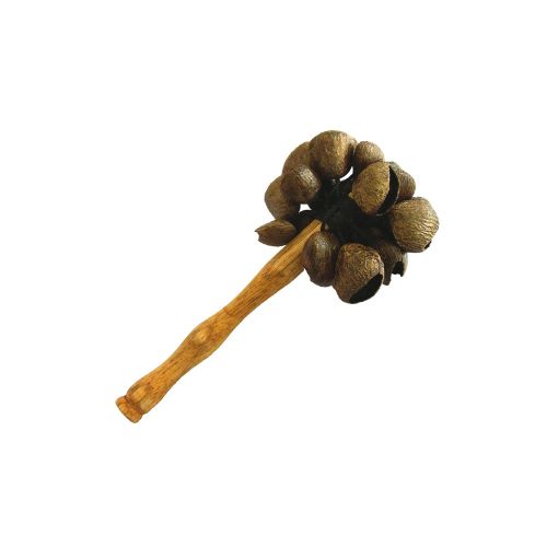 pangi seed stick shaker