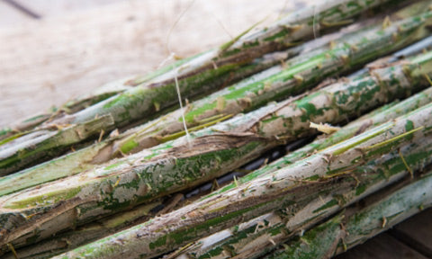 Natural rattan fibres