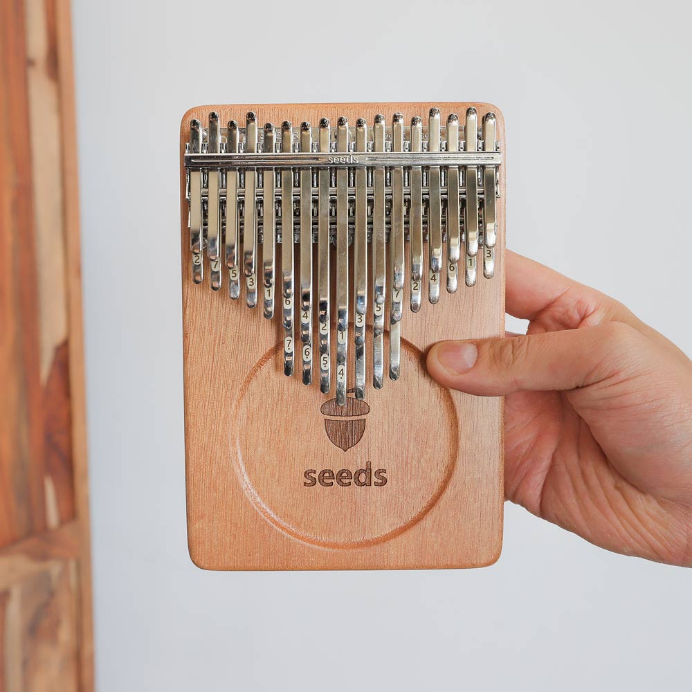 41 note seeds kalimba thumb piano in hand