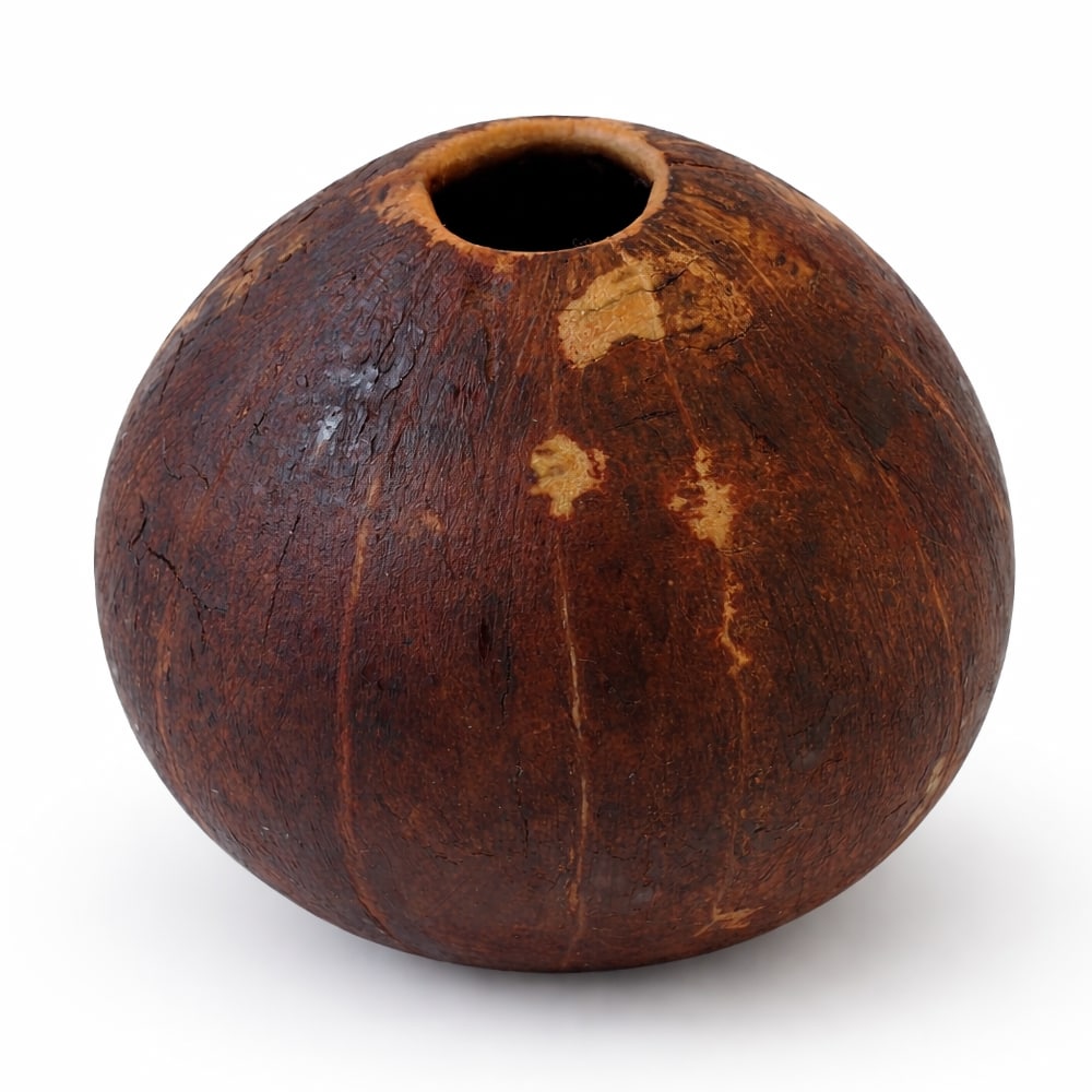 gourd shell with a hole on a white background
