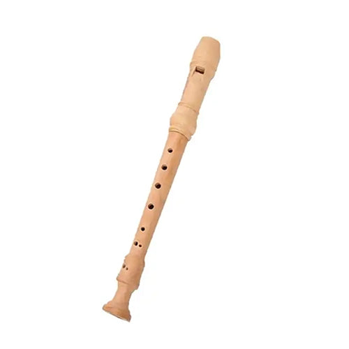 solid wood recorder
