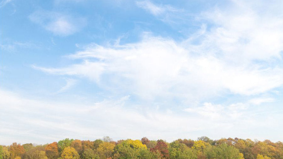 Frédéric Chopin - Nocturne in E-flat Major, Op. 9, No. 2 (Kalimba Tab)