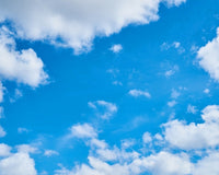 Howls moving castle OST - Merry go round of life (Kalimba tab)