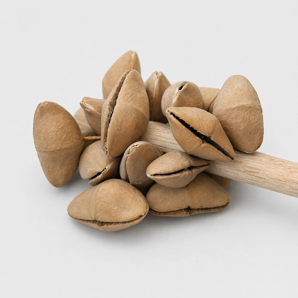 close up of lima cluster stick shaker