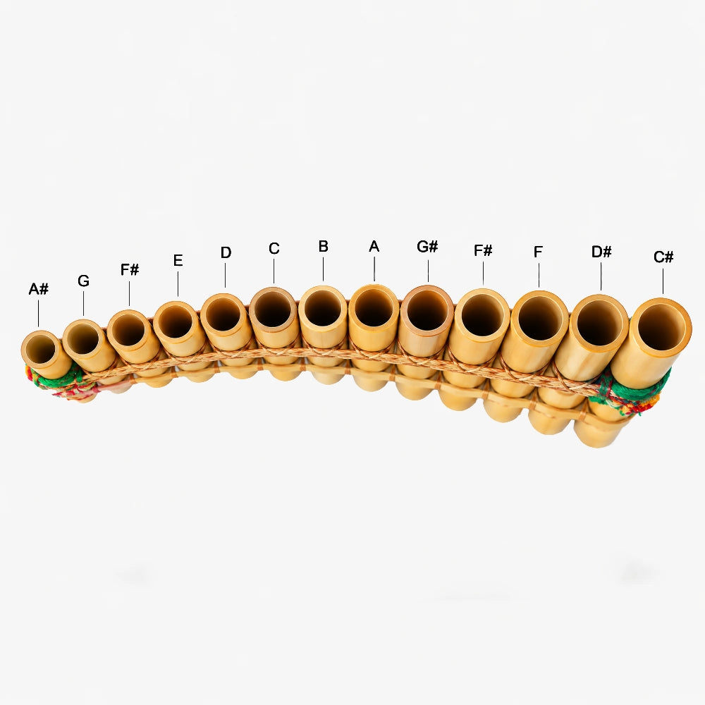 A bamboo flute set with 13 tube notes of varying diameters, arranged in a curved row on a white background. Each tube is labeled with a musical note name (A# through C#) above it.