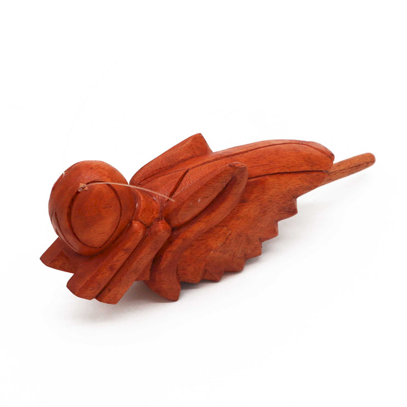cricket guiro with white background